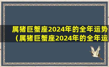 属猪巨蟹座2024年的全年运势（属猪巨蟹座2024年的全年运势 塔罗牌）